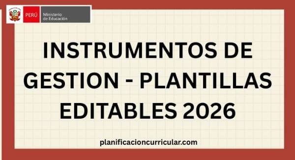 INSTRUMENTOS DE GESTION - PLANTILLAS EDITABLES 2026