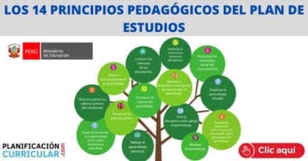 LOS 14 PRINCIPIOS PEDAGÓGICOS DEL PLAN DE ESTUDIOS | Planificacion ...